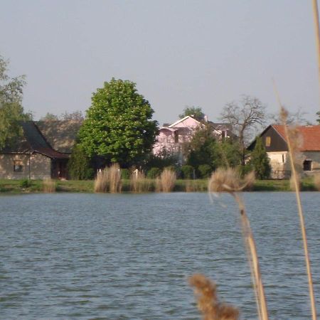 Vila Madams - Palic-Serbia Exterior photo