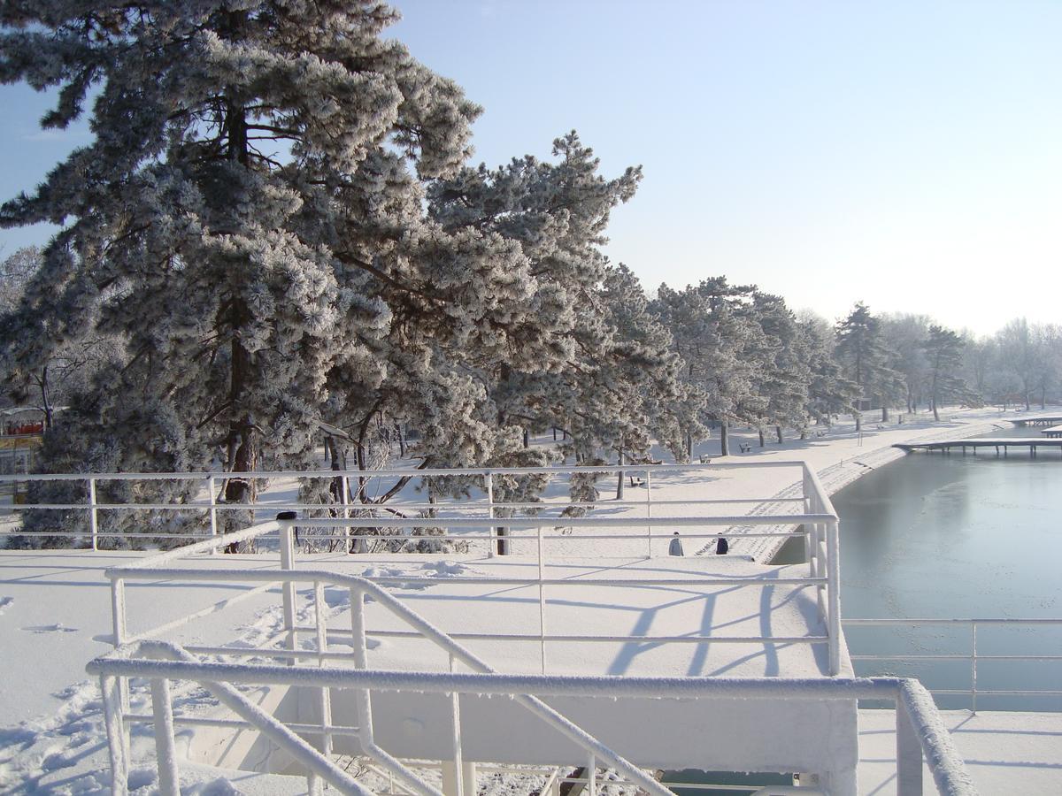 Vila Madams - Palic-Serbia Exterior photo